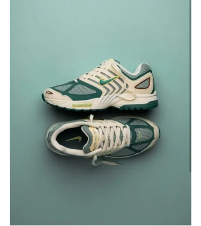 Air Pegasus 2005 Bicoastal Shoes For Men (SL86)