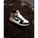Classic Nike Air Jordan 1 High Latte Shoes For Men (SW6212)