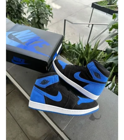 Nike Air Jordan 1 High Royal Shoes For Men (BOT576)