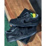 Nike Dunk Low Ducks Of The Feather University Of Oregon Shoes For Men (HS230)