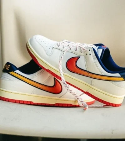 Nike Dunk Low Retro SE Shoes For Men (BSF977)