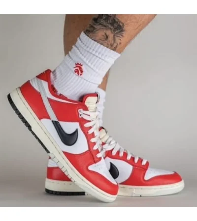 Nike Sb Dunk Chicago Low Shoes For Men (SW1269)