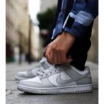 Nike Sb Dunk Fog Grey Shoes For Men (BSF169) - Image 2