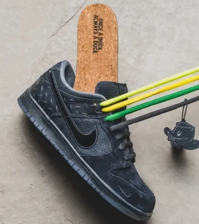 Nike Sb Dunk Low Ducks Shoes For Men (SL556) - Image 2