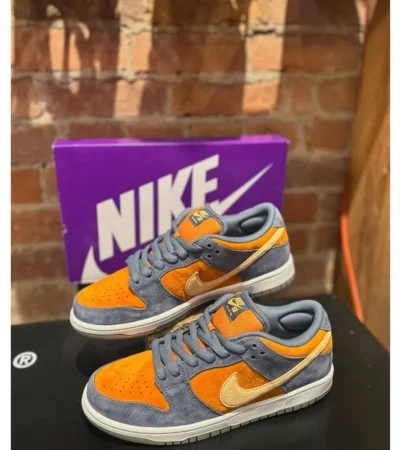 Nike Sb Dunk Low Pro Shoes For Men (BOT51)