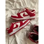 Nike Sb Dunk Low Shoes For Men (SW1294)