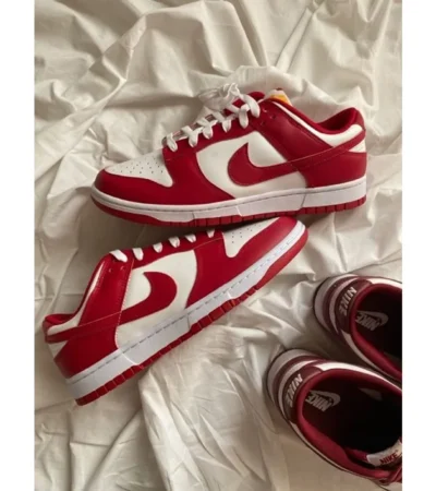 Nike Sb Dunk Low Shoes For Men (SW1294)