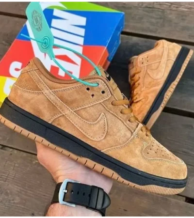 Nike Sb Dunk Pro Shoes For Men (SL118)