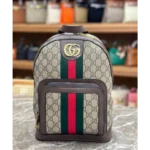 Imported Gucci Bagpack (J2643)