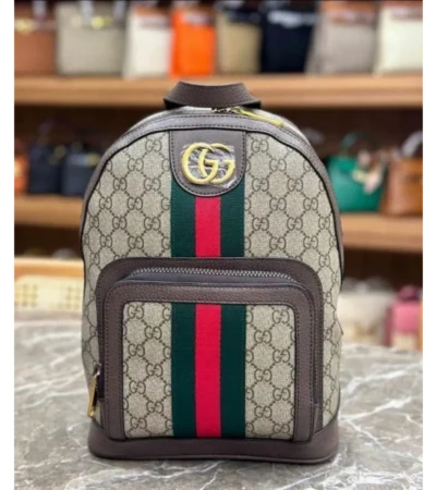 Imported Gucci Bagpack (J2643)