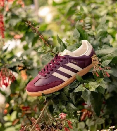 Classy Adidas Samba Classic Maroon Shoes For Men (SHH07856)