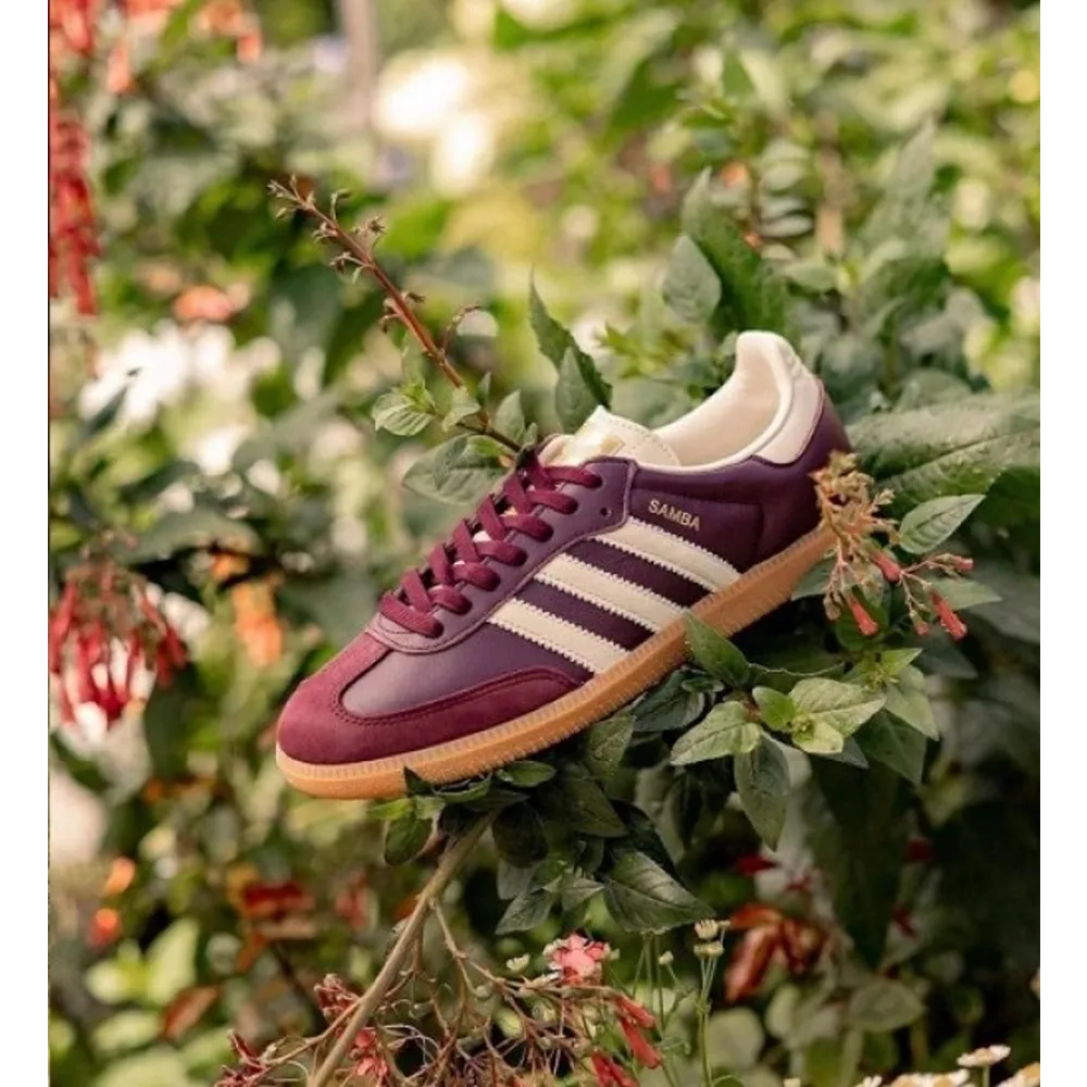 P-16-09-31-51-485153.Webp Classy Adidas Samba Classic Maroon Shoes For Men (Shh07856)