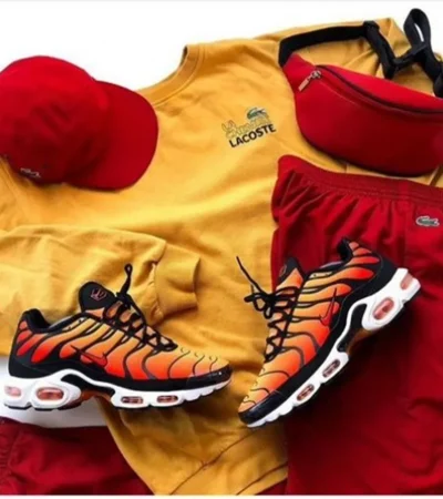 Trendy Nike Air Max Plus Shoes For Men (SHUB767)