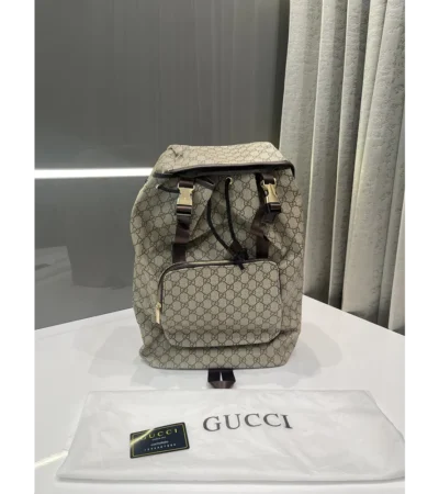 Imported Gucci Bagpack (J2602)