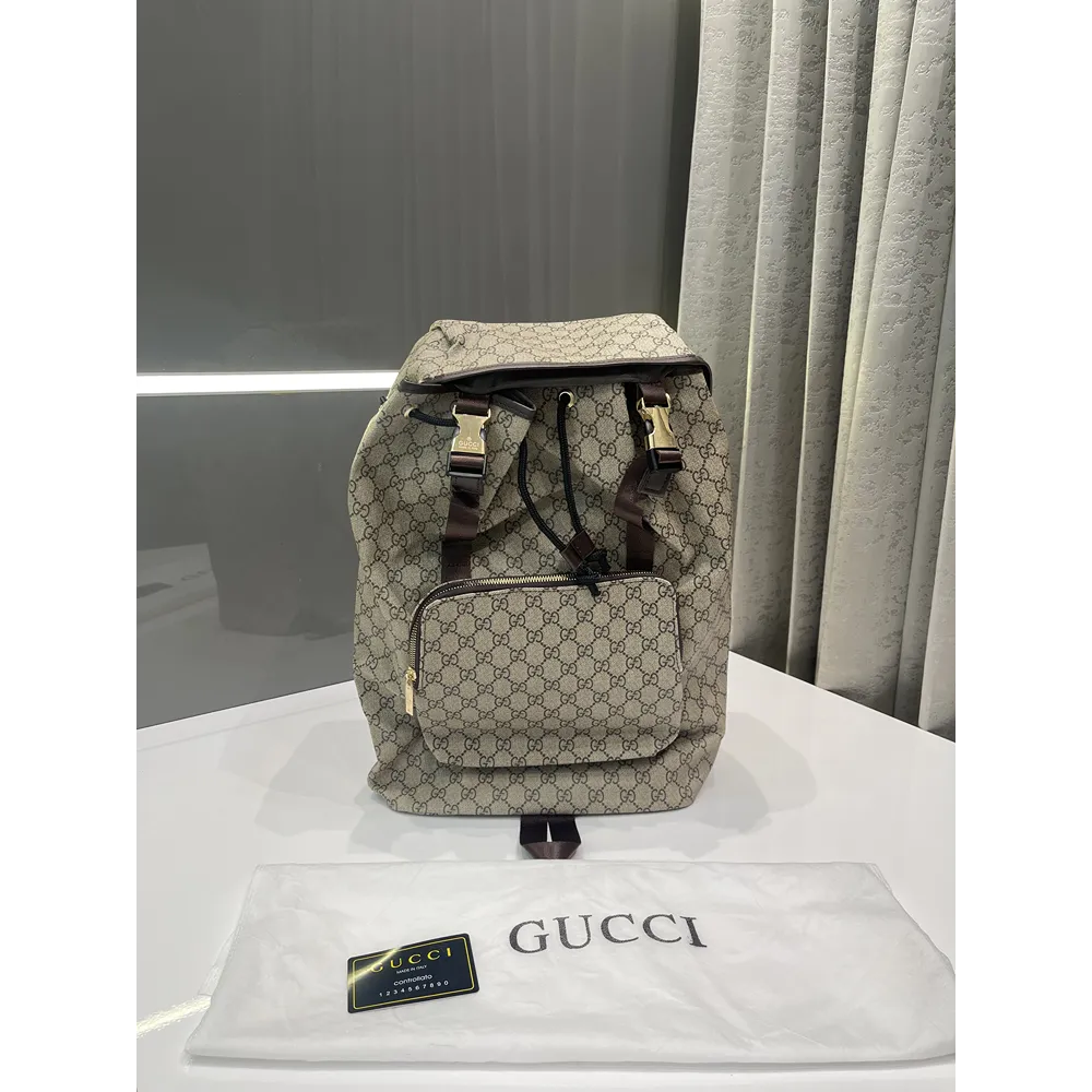 P-4-09-40-39-281682.Webp Imported Gucci Bagpack (J2602)
