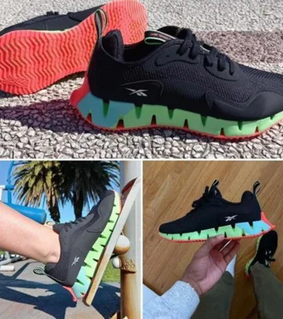 Trendy Reebok Zig Dynamica Shoes For Men (FF734)