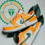 Premium Famu X Nike Dunk Low Florida Shoes For Men (SW5842) - Image 2