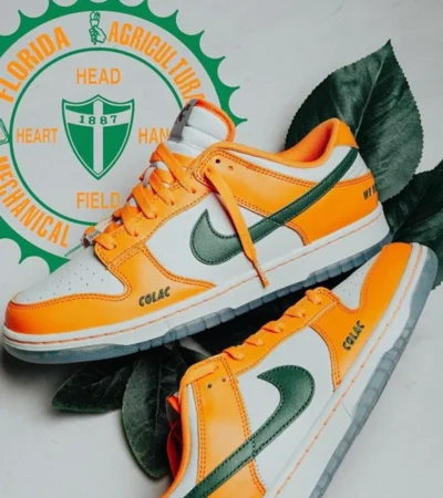 Premium Famu X Nike Dunk Low Florida Shoes For Men (SW5842) - Image 2