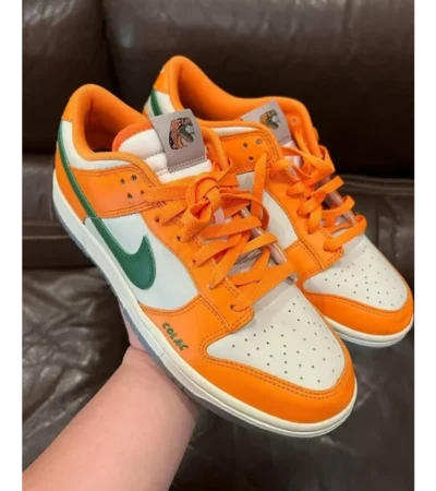 Premium Famu X Nike Dunk Low Florida Shoes For Men (SW5842)