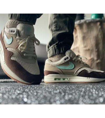 Trendy Nike Air Max 1 Brown Stone Shoes For Men (SW5655) - Image 2