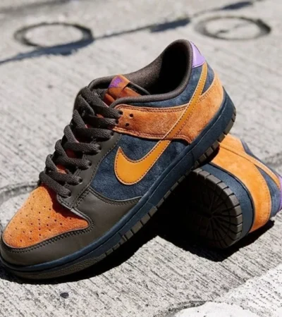 Trendy Nike Dunk Low Trendy Cider Shoes for Men (SW4785) - Image 2