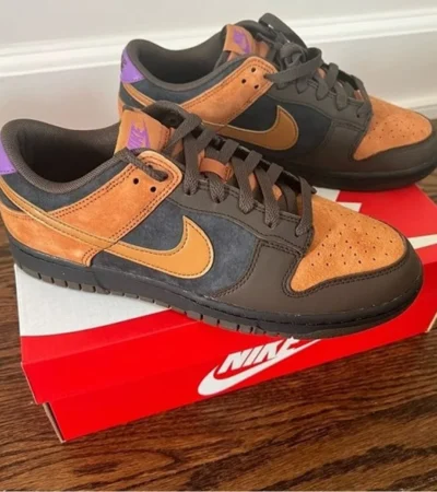 Trendy Nike Dunk Low Trendy Cider Shoes for Men (SW4785)