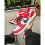 Trendy Nike Sb Dunk Low Split Chicago Shoes For Men (SW6251) - Image 3